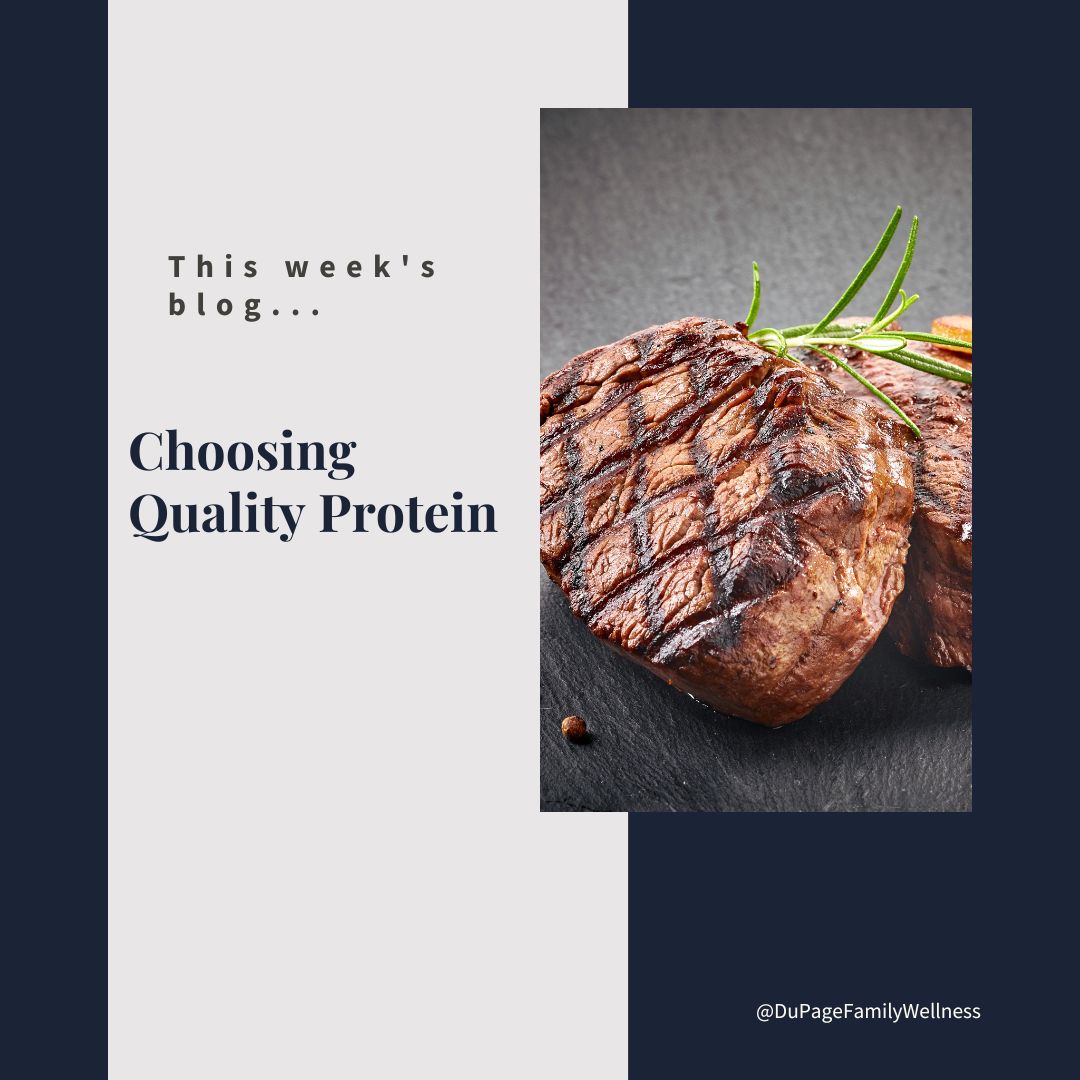 choosing quality protein blog cover